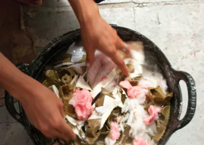 Pía Troglio